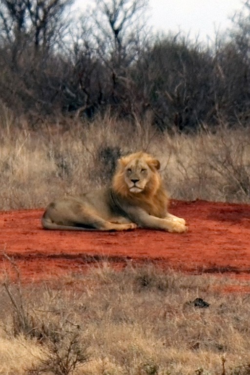 Kenia (338).jpg